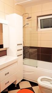 普里什蒂纳Apartment 13的带淋浴、盥洗盆和卫生间的浴室