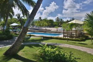 Ambondrona依兰酒店的游泳池旁的棕榈树