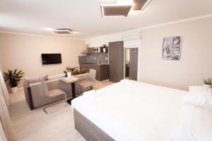 布拉格罗伊尔别墅旅馆的一间卧室设有一张床和一间客厅。