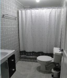 萨夸雷马Spazio Itauna Hostel的一间带卫生间和淋浴帘的浴室