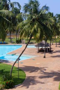 洛美萨拉卡瓦酒店的游泳池前的棕榈树