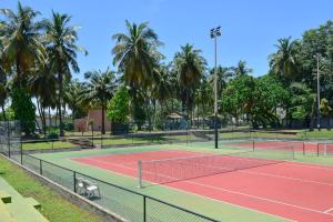 洛美萨拉卡瓦酒店的一座棕榈树环绕的网球场