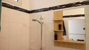 施泰尔Apartment im Zentrum Steyr, 2 Betten BESTROOMS eU的浴室设有淋浴间和镜子