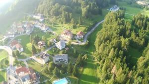 拉瓦罗内Haus Green & Spa Angelika Trentino的享有大庄园和房屋的空中景致