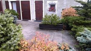 博尔米奥BORMIO Centro storico的一座花园,在房子前面种植了植物