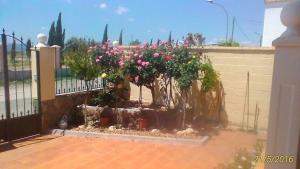 OrgazLa Rosaleda de Orgaz的围栏前种有粉红色花卉的花园