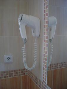 泰雷津泰雷津公园酒店的浴室的墙上设有2个吹风机