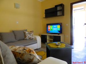 尤塔哈总统别墅公寓的带沙发和电视的客厅