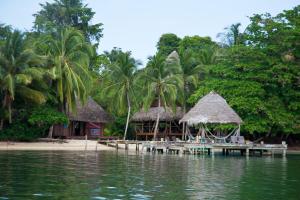 博卡斯德尔托罗Al Natural Resort的棕榈树和水滩上的度假村