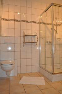 京斯特Hotel Rügen Park KG的带淋浴和卫生间的浴室