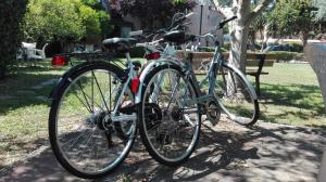 Infernetto阿莫特公寓的两辆自行车停在公园里,彼此相邻