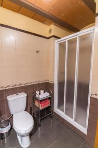 贝塞特Casa Las Eras的一间带卫生间和淋浴的浴室