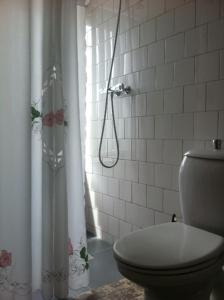 德科赫布林克兹科酒店的一间带卫生间和淋浴帘的浴室