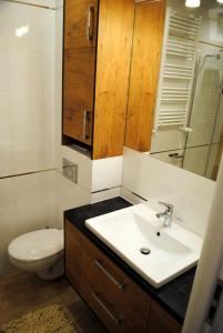 科沙林Apartament Zwycięstwa 98的一间带水槽、卫生间和镜子的浴室