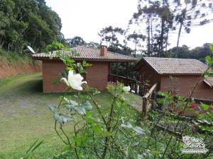 圣安东尼奥-杜皮尼亚尔Espaço Recanto do Pico的一座花园,花园内有房子和白色的花朵