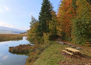 Saint-Point-LacL'Ecrin du Lac的河边的木餐桌