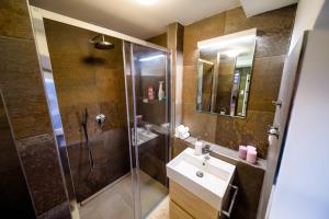 赫拉德茨 - 克拉洛韦Rooftop Triplex Apartment in Centre的带淋浴、盥洗盆和镜子的浴室
