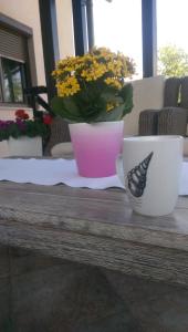 塞里特雷尼科特拉汀西卡公寓的咖啡杯坐在桌子上,上面涂上蝴蝶