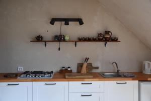BesiekierySiedlisko Besiekiery的厨房配有带水槽和书架的台面