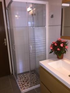 奥雷龙圣但尼Alizés的浴室里设有玻璃门淋浴