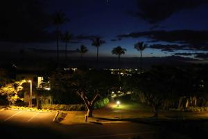 维雷亚Wailea Ekolu #607的夜间停车场,有棕榈树和灯