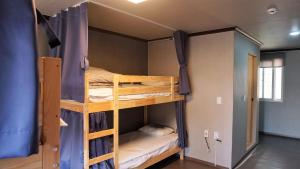 Blue Door Hostel Guesthouse客房内的一张或多张双层床