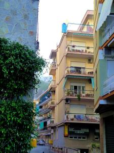 马奥莱Rooms B&B Albergo Riviera的城市街道上高高的建筑,带阳台