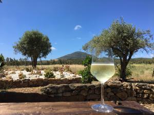阿尔盖罗Villa Arzilla Sardegna的坐在桌子上的一杯白葡萄酒