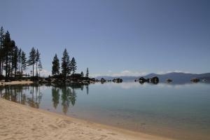 南太浩湖Avalon Lodge South Lake Tahoe的一片树木和海滩的水域