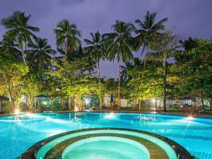 瓦都瓦Siddhalepa Ayurveda Resort - All Meals, Ayurveda Treatment and Yoga的一座在晚上种植棕榈树的大型游泳池