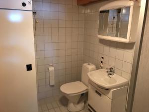 萨利色尔卡Panoraama 3的一间带卫生间和水槽的小浴室