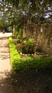 埃尔科莱希奥天堂岛芮欧美斯塔酒店的一座种植了植物和石墙的花园