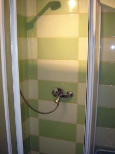 科尔尼鲁格Apartment Park Crni Lug的浴室内带软管的淋浴