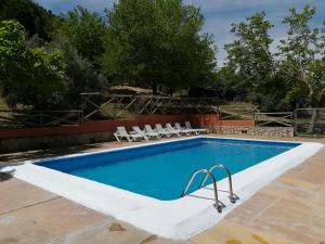 布伦切尔Cabaña de Madera la Encina的游泳池旁设有躺椅