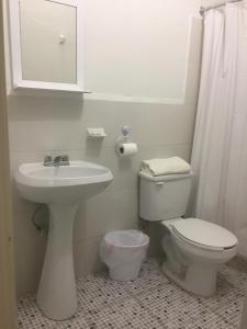 比亚埃尔莫萨Hotel Florida的一间带卫生间、水槽和镜子的浴室