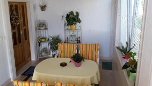 布雷拉Guest house Fenix Brela的植物间里的桌子和椅子