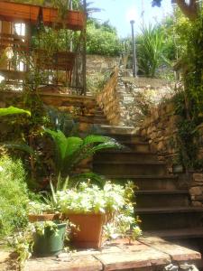 克里日亚Sole Terra Mare的花园中种有植物的楼梯