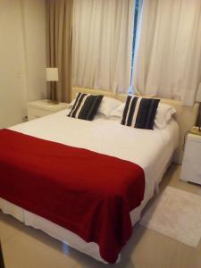 亚松森Realty PY Saravi的一间卧室配有一张带红色毯子的大床