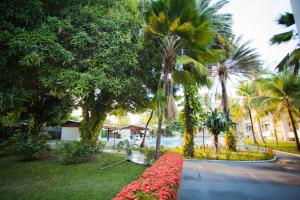 博阿维斯塔艾帕纳广场酒店的种有棕榈树的花园,种有鲜花的道路