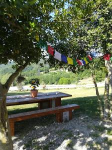 San Pietro VaraAgriturismo dei Legi的坐在树下挂着旗帜的野餐桌
