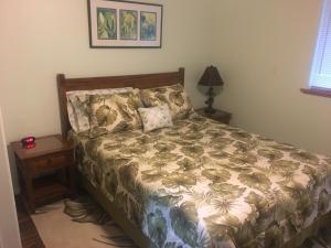 芒廷维尤Aloha Big Island Paradise的一间卧室配有一张床和一个带灯的床头柜