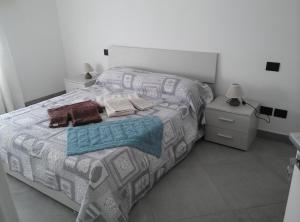 卢加尼亚诺Affittacamere Di Paola的卧室配有一张带灰色和白色床单的床。