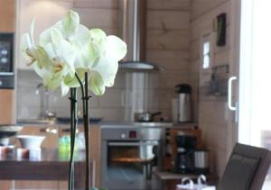 奥卢Koitelin Residenssi的厨房里白色花瓶