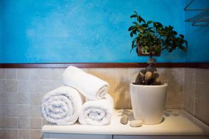CollepassoTerra di Mezzo的浴室柜台配有毛巾和盆栽植物