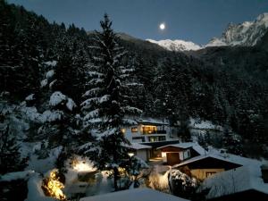 厄茨Alpine Appartement的雪中与月亮的夜晚