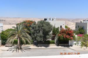 Kfar Adumim诺夫迦南酒店的棕榈树和鲜花的房子