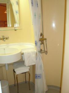 布里德莱班阿尔卑斯酒店的一间带水槽和淋浴帘的浴室
