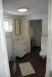 SkauloLakeside House in Lapland的一间带卫生间和水槽的浴室