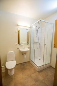 劳加尔劳迦酒店的带淋浴、卫生间和盥洗盆的浴室