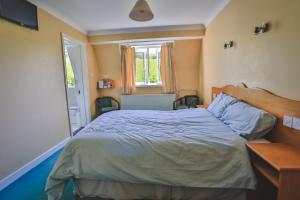 沃特福德钻石山乡间别墅酒店的一间卧室设有一张大床和一个窗户。